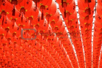 red and beautiful Chinese lantern