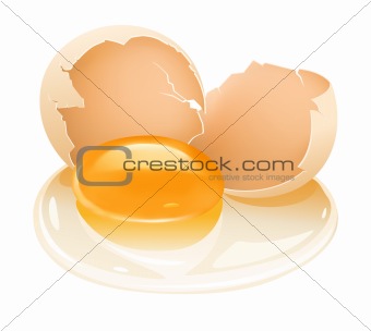 cracked hen's egg food with yolk and albumen