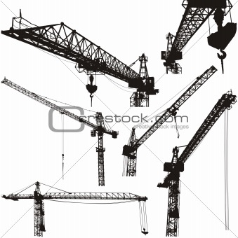 cranes silhouettes vector illustration high quality details