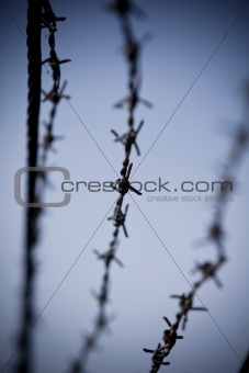 Abstract barbed wire with short focal depth
