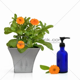 Calendula Flowers and Hand Cream