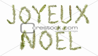 Spruce twigs forming the phrase 'Joyeux Noel'