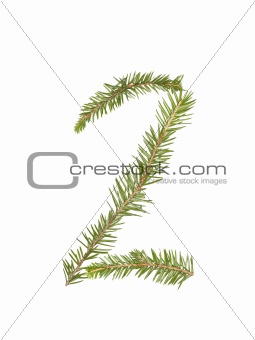 Spruce twigs forming the number '2'