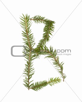 Spruce twigs forming the letter 'B'