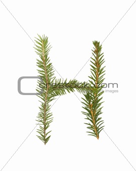 Spruce twigs forming the letter 'H'
