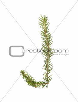 Spruce twigs forming the letter 'J'