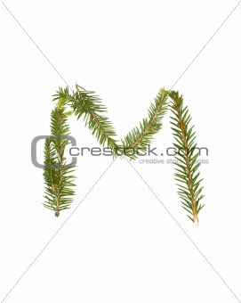 Spruce twigs forming the letter 'M'