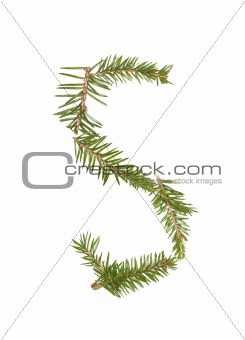 Spruce twigs forming the letter 'S'