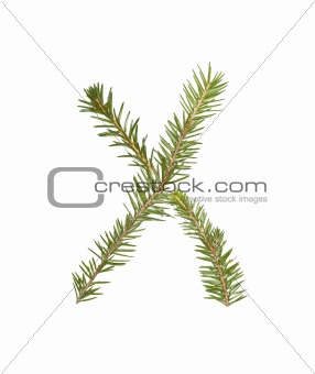 Spruce twigs forming the letter 'X'