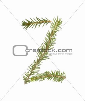 Spruce twigs forming the letter 'Z'
