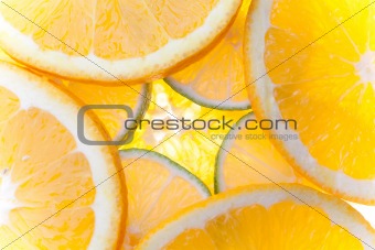 Citrus Slices Backlit