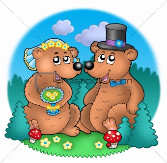Wedding image with bears on meadow