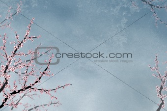 Ornamental elegant cherry tree on textured background with place for text or image