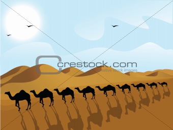silhouette view of row of camels in a desert
