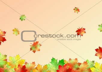 autumn maple leaves made in illustrator cs4