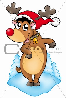Cute Christmas reindeer