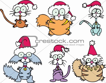 Cartoon Cats - Christmas