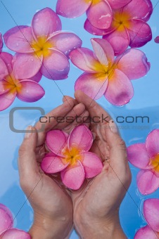 Hands and Frangipanis in a Spa Pool