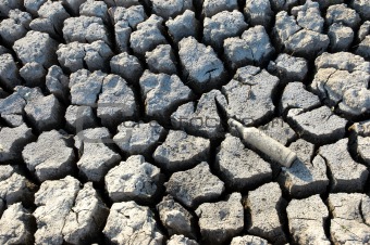 cracked dried ground