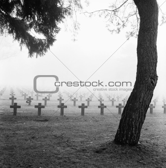 mist at cemetery