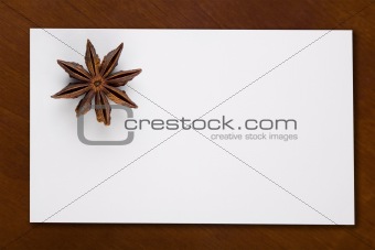 Blank Card with Star Anis