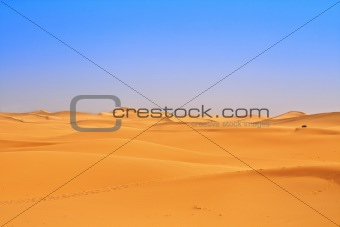 wide view of sand dunes