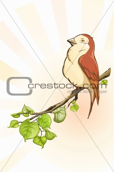 bird on the branch