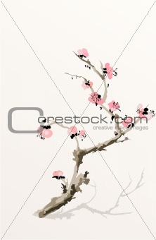 blooming plum-tree