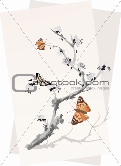 plum-tree and butterflies
