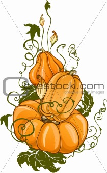 Pumpkins composition