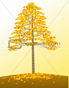 Autumn tree and background