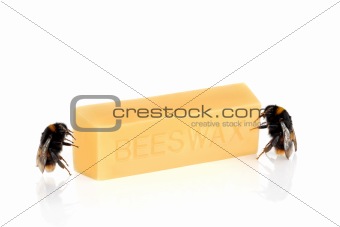 Bumblebees and Beeswax