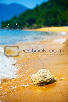 Stone on the sandy tropical beach.