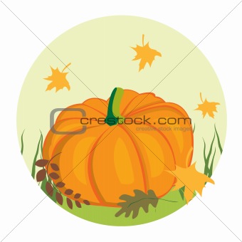 Autumnal background with pumpkin