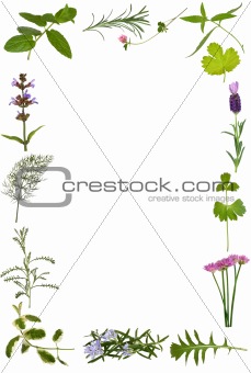 Herb Flower and Leaf Border