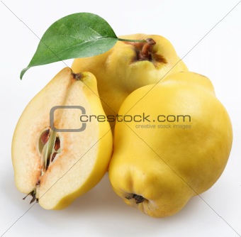 quince on a white background