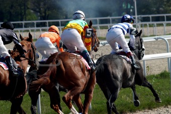 Horse race.
