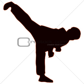 Martial arts - kung-fu high kick