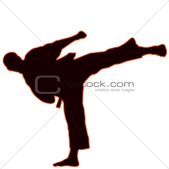 Martial arts - karate. Yoko gery.