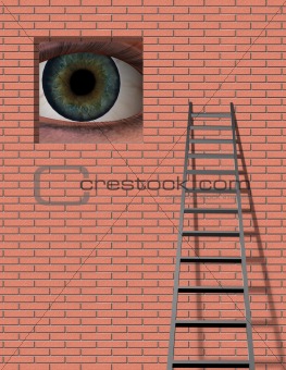 Ladder and Large Eye