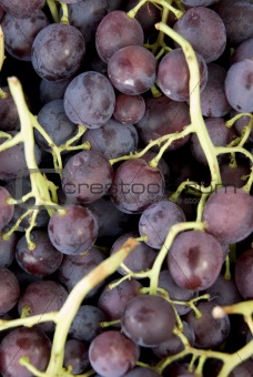 uzum:grapes,bunch, clluster, clusters, fruit, crop,