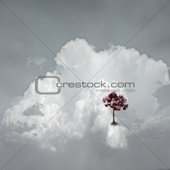 Dream Scene on Cloud