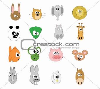 animals(various)