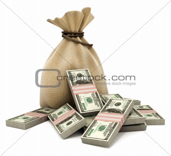 Bag with money dollars