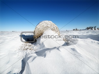 Hay bale in snow.