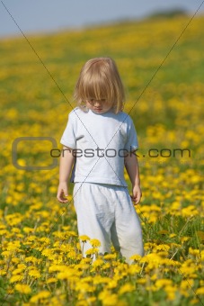 boy with long blond hair standing in a dandelion field