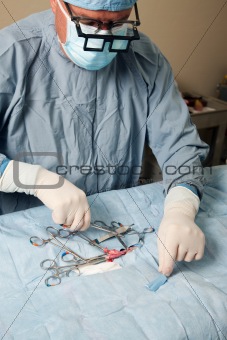 Veterniarian performing spay operation on dog