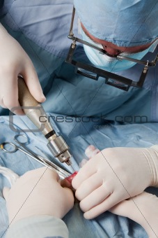 Veterinarian doing knee surgery on small dog