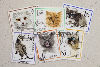 cats - set of vintage post stamps from Poland