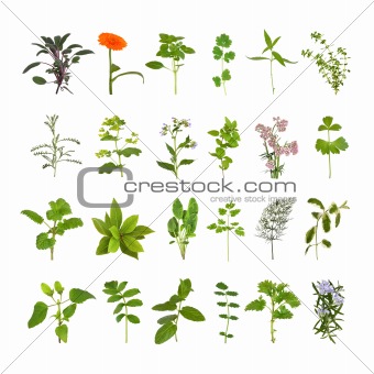 Herb Flower and Leaf Collection